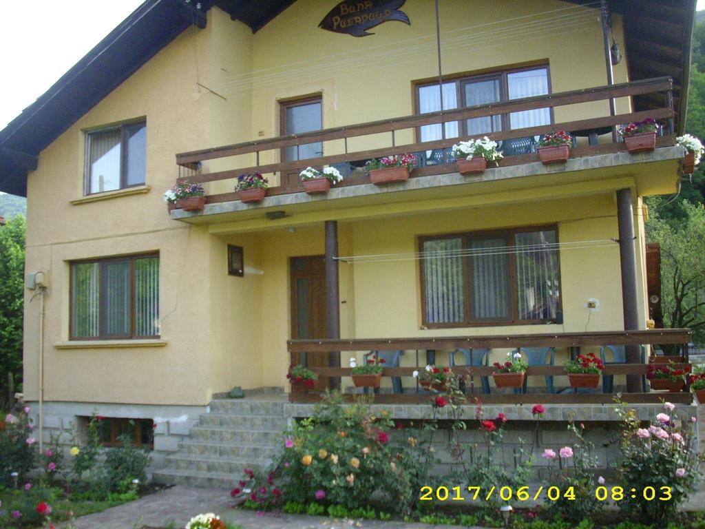 Villa Ribarica Exterior photo